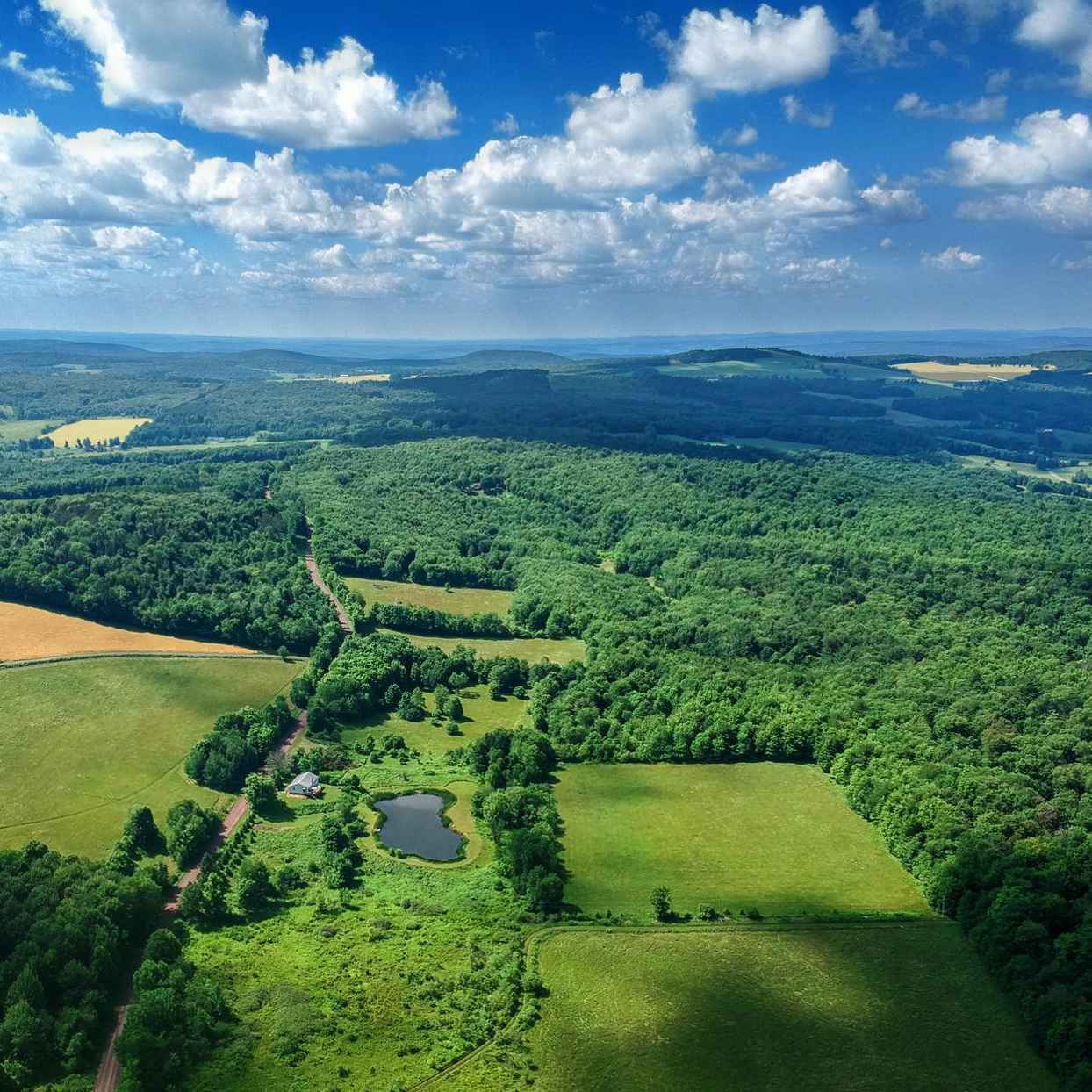 Agriculture and forestry offer investors a path to biodiversity