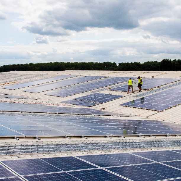 Triodos Groenfonds sells part of its portfolio to Nederlandse Waterschapsbank (NWB Bank)
