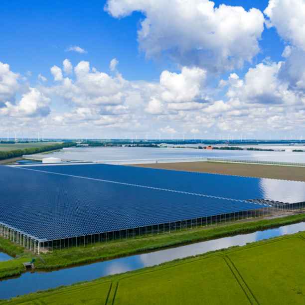 Triodos Groenfonds invests at the nexus of energy, biodiversity and horticulture