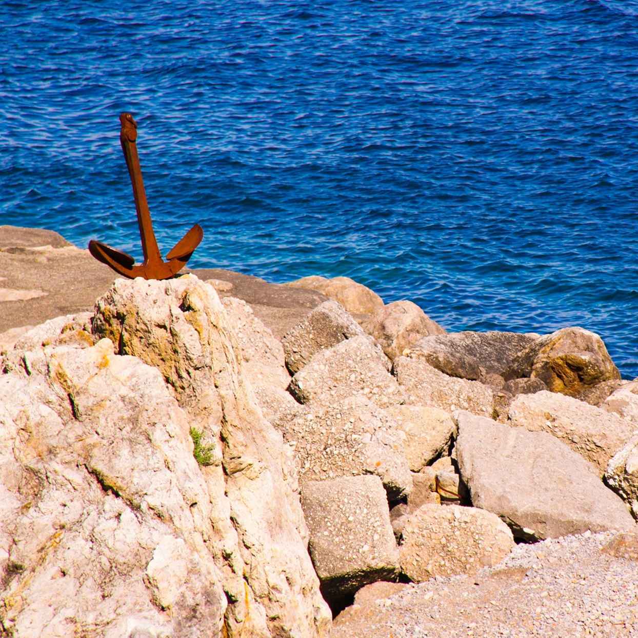 Investment Outlook 2026 Anchoring our world: Investing to sustain what matters