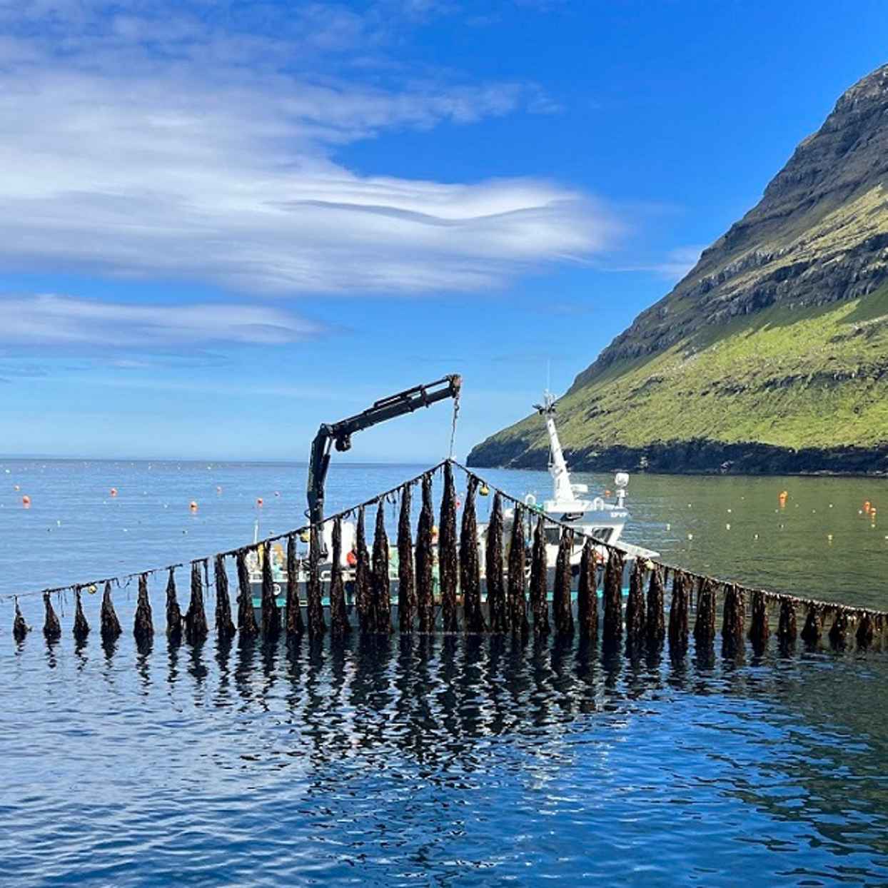 Navigating the edge: how investors can prepare for global tipping points