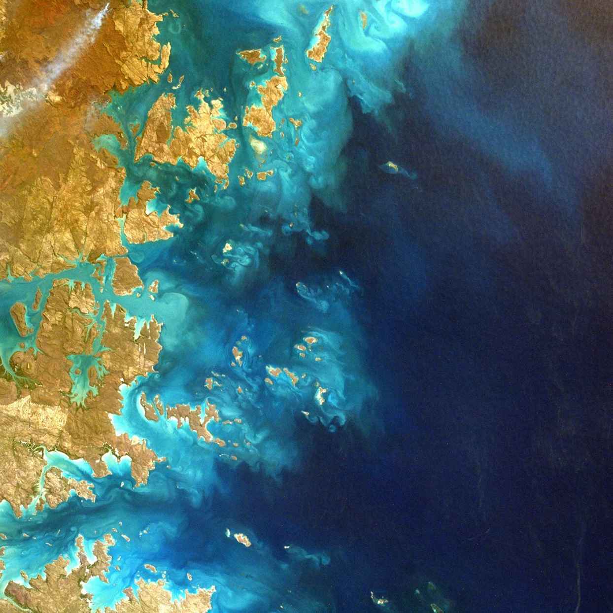 Triodos Investment Outlook 2026