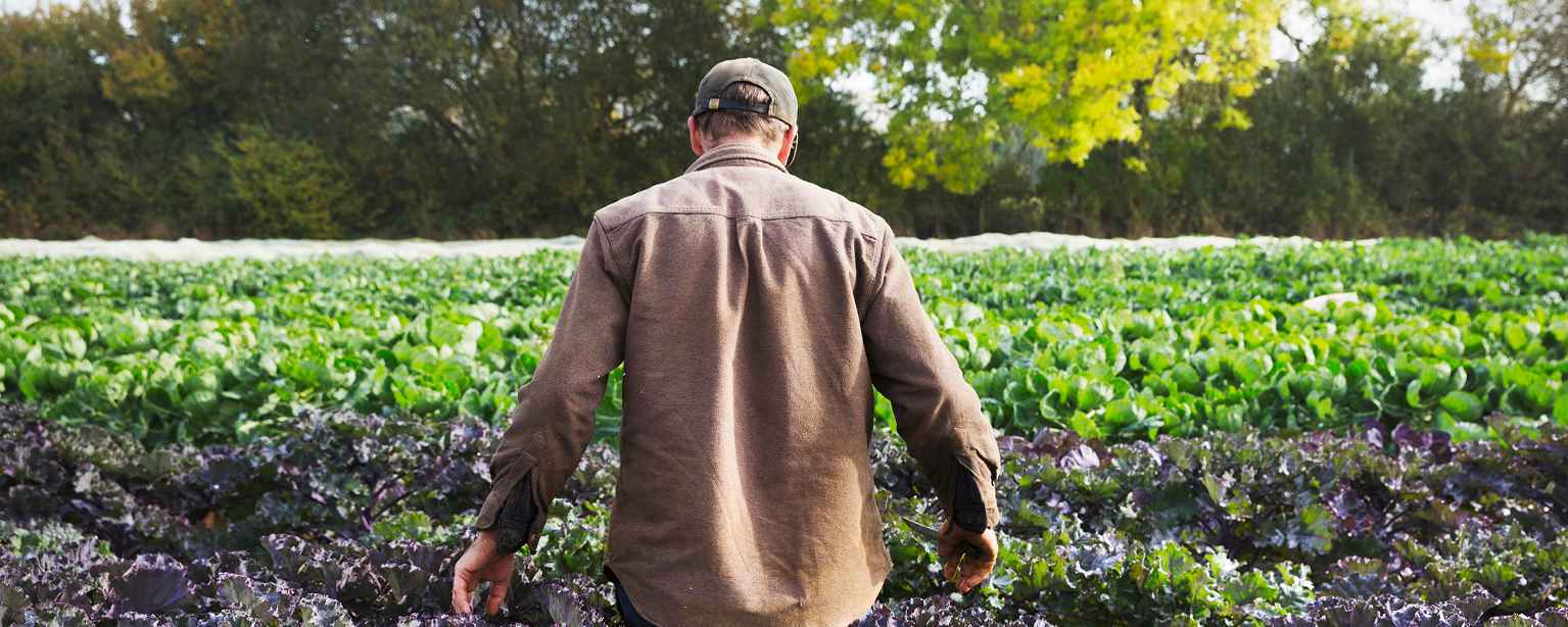 Why we invest in organic farming and food