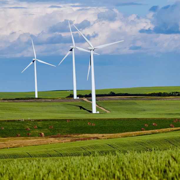 BeFrank and Triodos Investment Management improve the BeFrank Sustainable Lifecycle