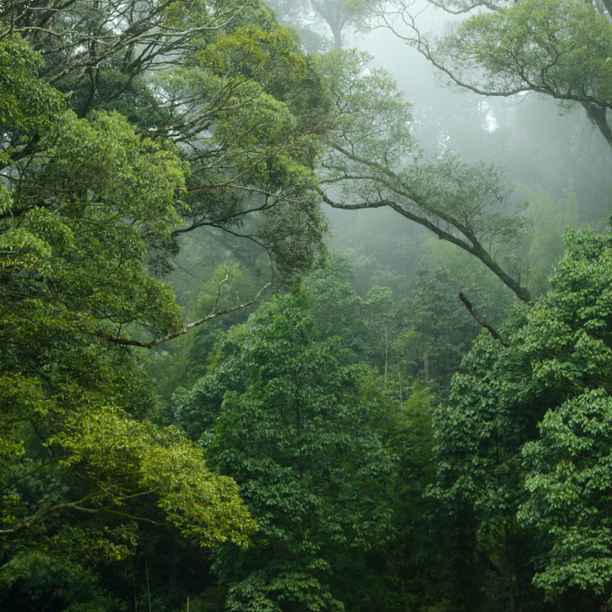 Let nature play its role