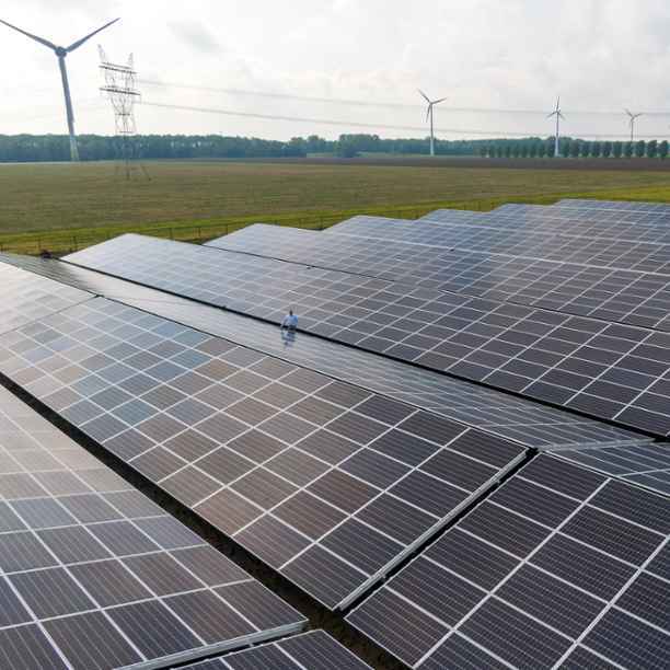 Solarvation Energy develops plan for energy-neutral farm