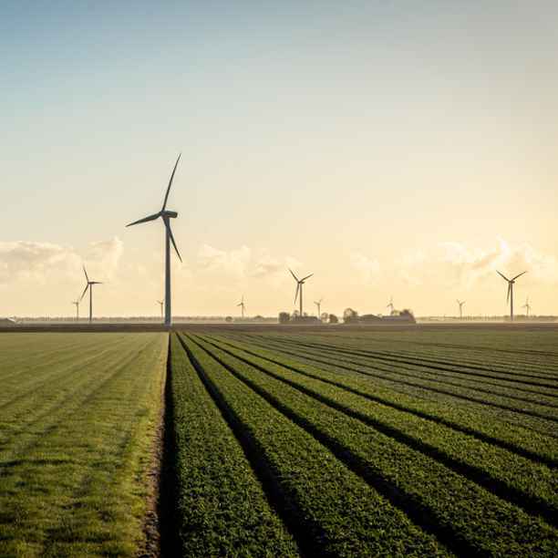 Triodos Energy Transition Europe Fund invests in WindSpace