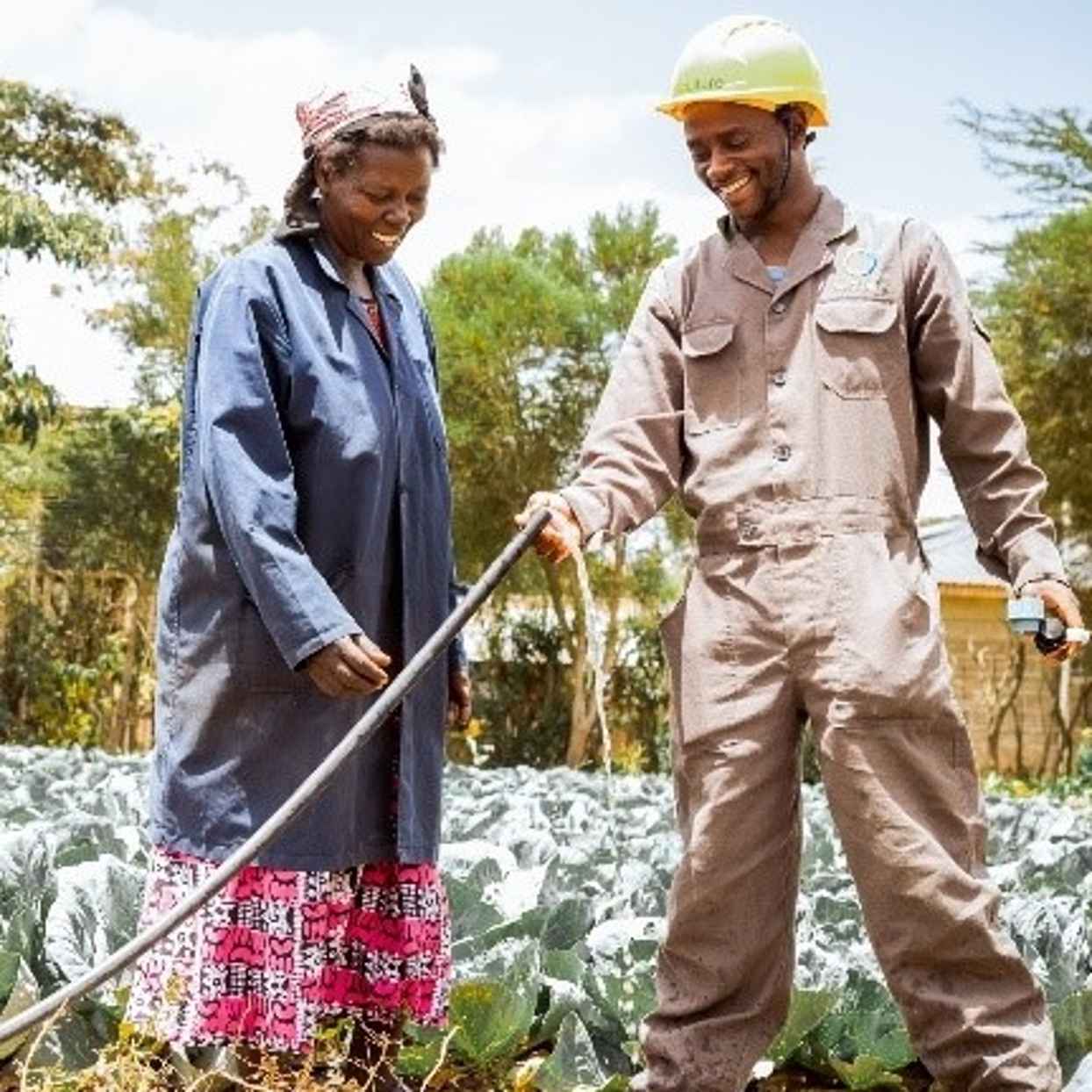 Renewable energy and sustainable agriculture in East Africa