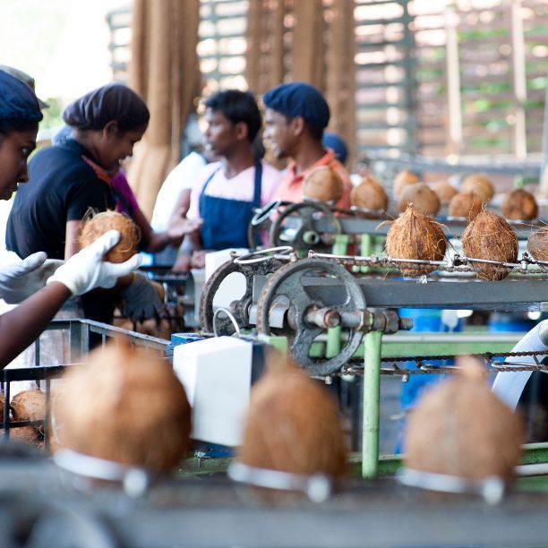 The true value behind MA’s Foods in Sri Lanka
