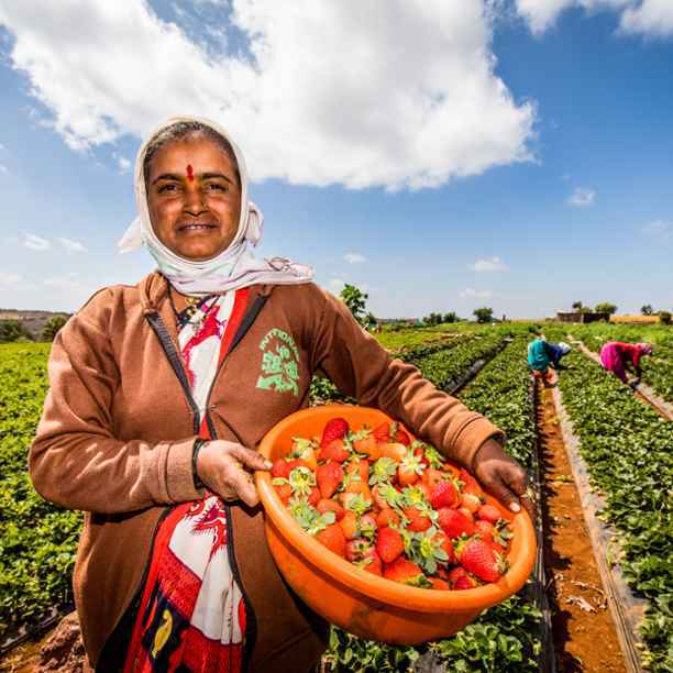 Resilience and solidarity of smallholder agricultural finance
