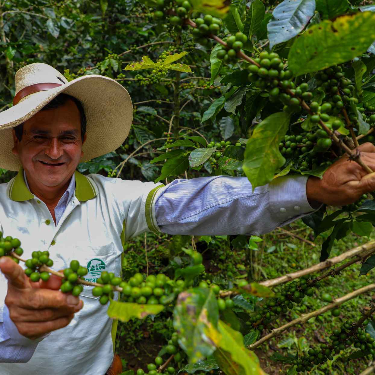 Norandino Coop and ethical financing for export