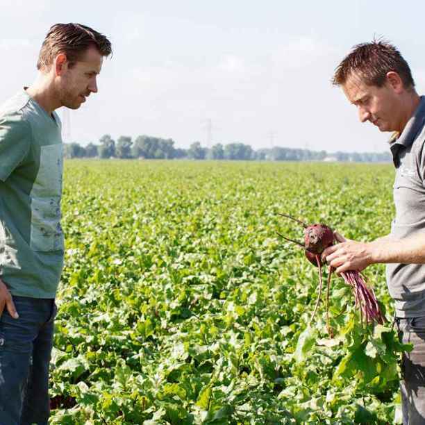 "A good crop grows on healthy soil"