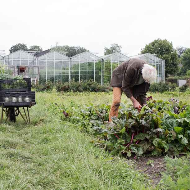 “Agriculture should work with nature instead of against it”