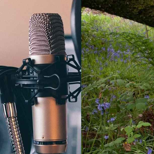 Biodiversity is investable