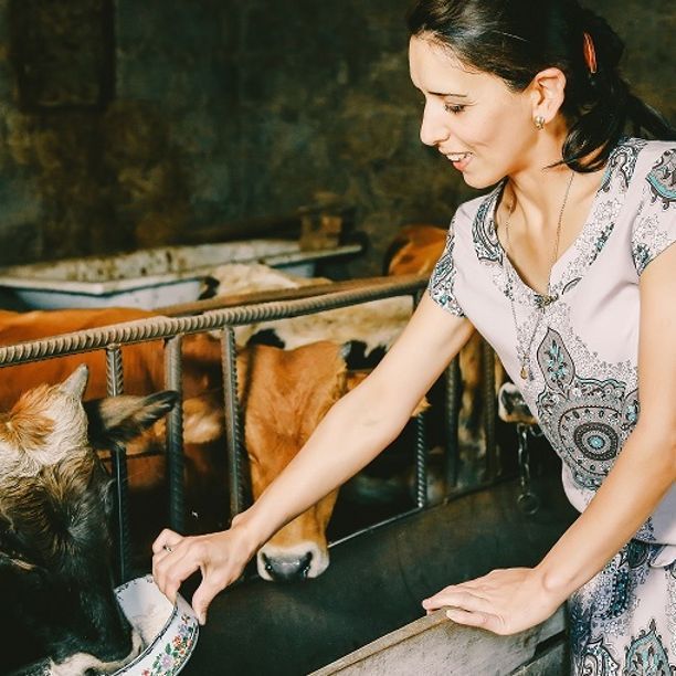 From a credit-only institution to a fully-fledged bank