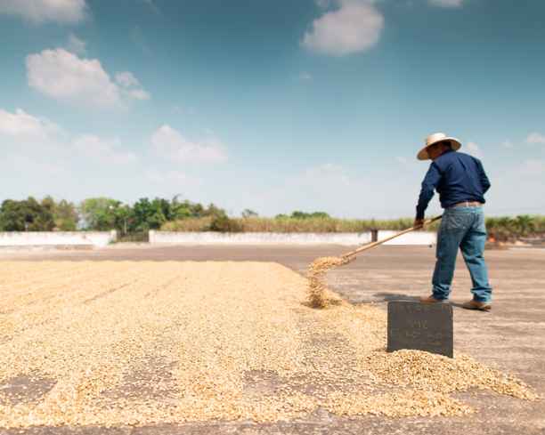 Banco Agrícola in El Salvador