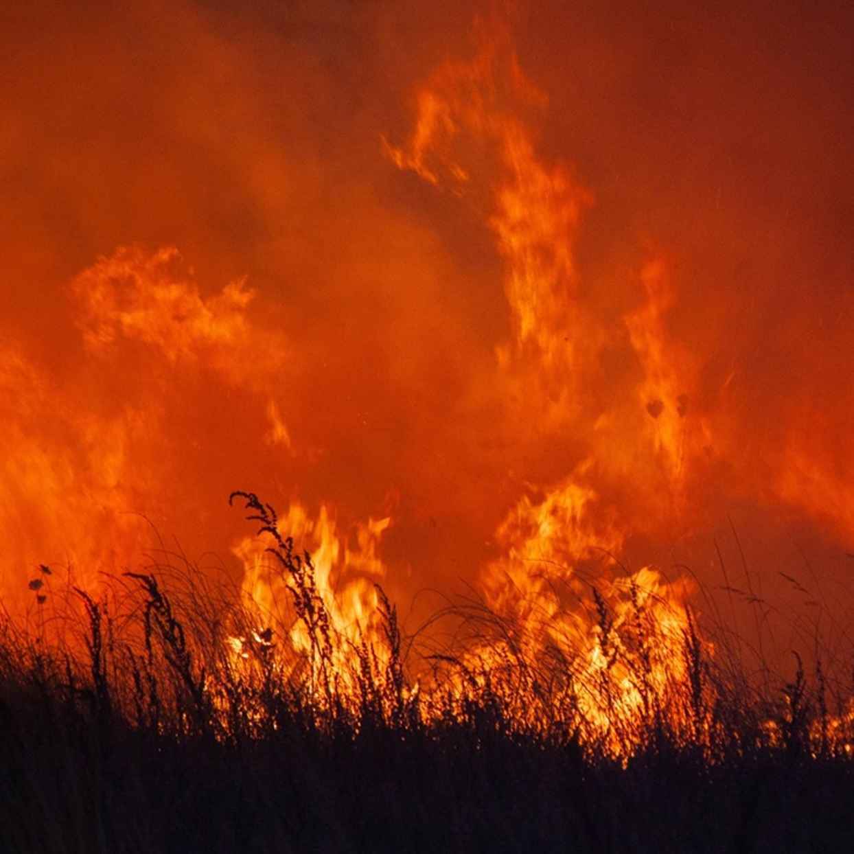 Extreme heat could wipe out EU economic growth in 2026
