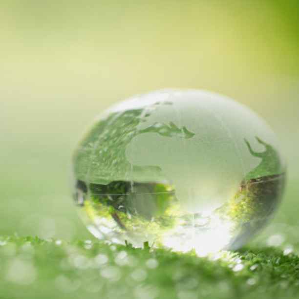 A healthy planet for healthy people