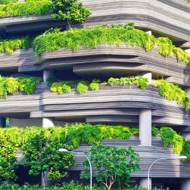 Sustainability leaders in their field