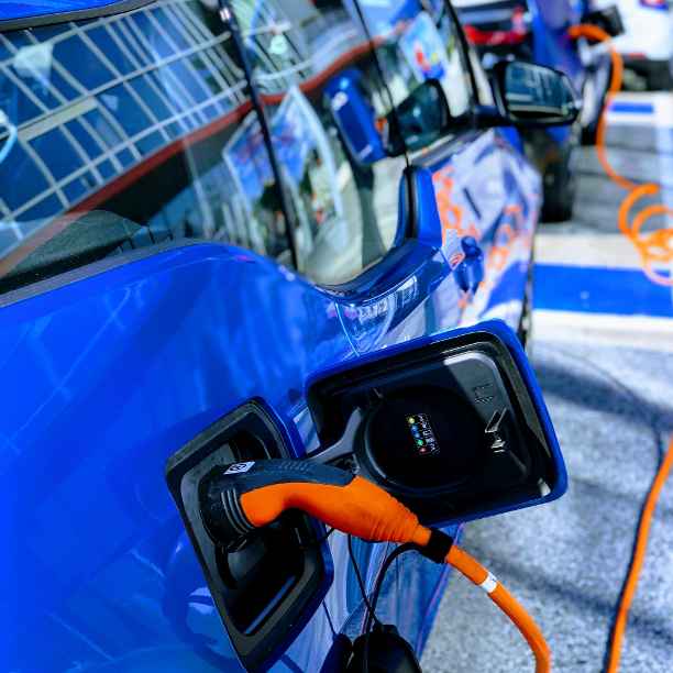 Sustainable frontrunners