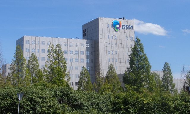 DSM