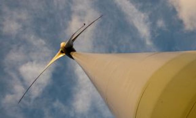 Boreas Wind
